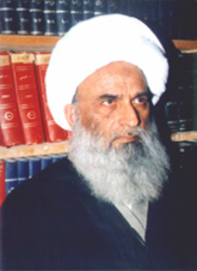 Hafiz bashir hussain najafi books